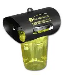 Piege à frelon asiatique