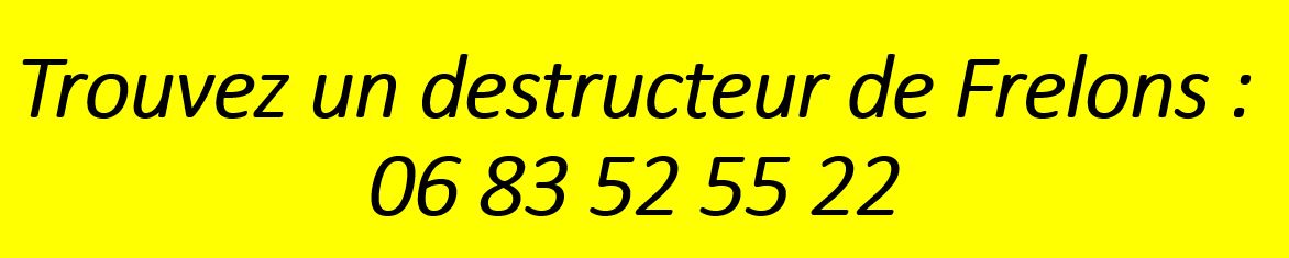 Destruction frelon asiatique Lyon – Rhône