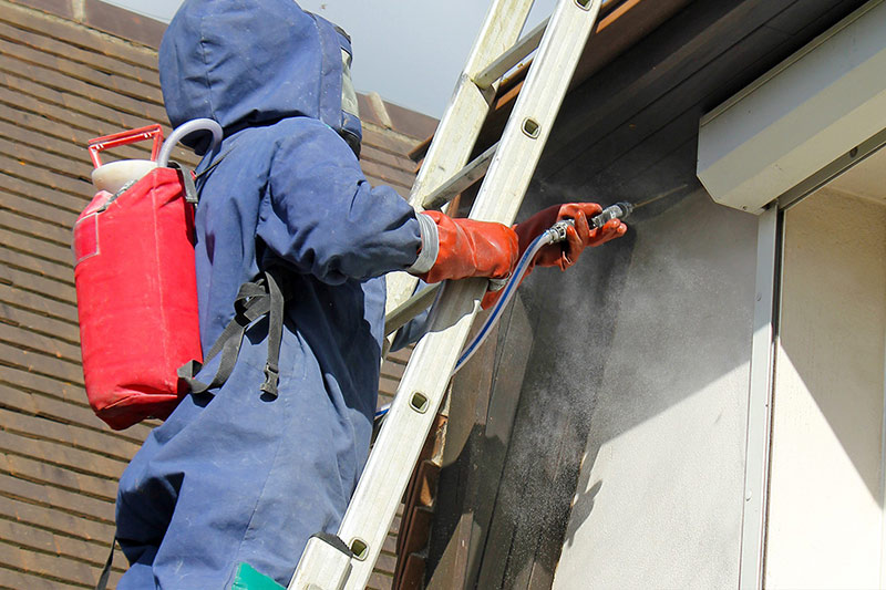 Nid de frelon intervention