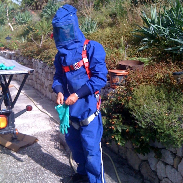 Destruction nid de guêpes Brignais – guepes Brignais Soucieu Orlienas Vourles